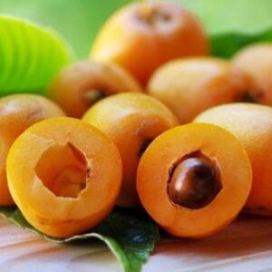 Níspero Extra Selección (Caja 4 kg)